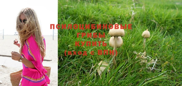 мяу мяу мука Богородицк